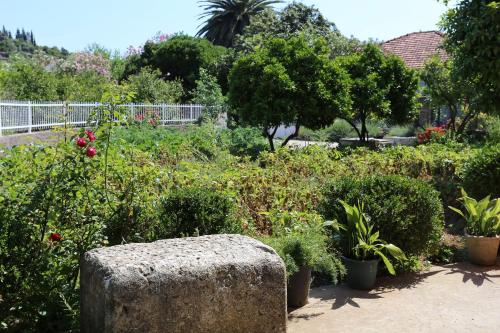a garden with a stone bench and plants at Apartments with parking space Trpanj, Peljesac - 10148 in Trpanj