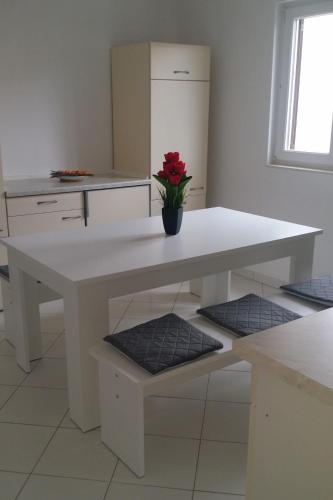 Apartments with parking space Sapina Doca, Rogoznica - 11739