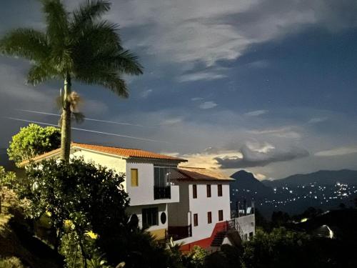 una palmera y un edificio con una palmera en Bello Horizonte by JericóHouse 2, en Jericó