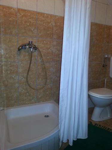 a bathroom with a white shower curtain and a toilet at Apartments with parking space Orebic, Peljesac - 11834 in Orebić