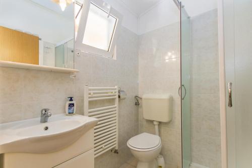 a bathroom with a toilet and a sink and a shower at Apartments with a parking space Vinez, Labin - 11851 in Labin