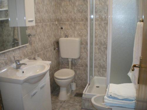 a bathroom with a toilet and a sink and a shower at Apartments with a parking space Rukavac, Vis - 11855 in Vis