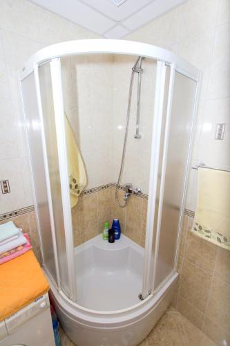 a shower stall in a bathroom with a toilet at Apartments by the sea Zuronja, Peljesac - 12020 in Putniković