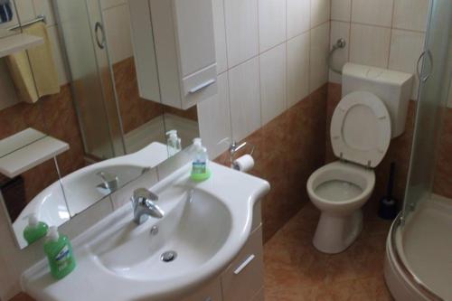 Seaside holiday house Preko, Ugljan - 12078にあるバスルーム