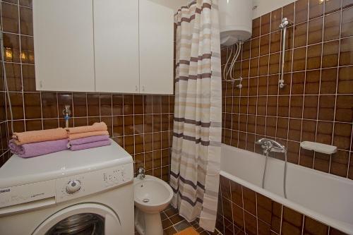 un bagno con lavatrice e WC di Apartments with a parking space Rabac, Labin - 12100 a Rabac