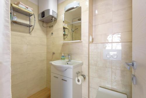 La petite salle de bains est pourvue d'un lavabo et d'un miroir. dans l'établissement Apartments by the sea Basina, Hvar - 11817, à Vrbanj