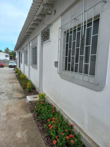 a white building with a window and some flowers at Habitaciones Grupales in Playas