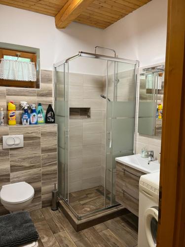 een badkamer met een douche, een toilet en een wastafel bij Szőlősgyörök Kun Apartment with 3 bedrooms on 92 in in Szőlősgyörök