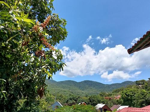 una vista desde un árbol con montañas en el fondo en Khách sạn Mộng An en Vĩnh Hy