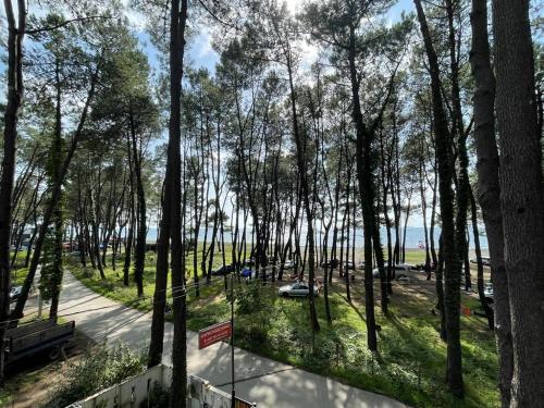 Φυσικό τοπίο κοντά σε αυτό το bed & breakfast