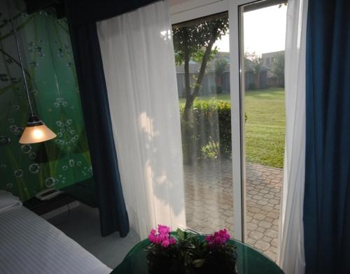 Сад в Business Hotel