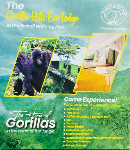 a flyer for the gorilla little ego lodge in the animal national park at Gorilla Hills Eco-lodge in Kisoro
