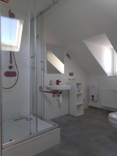 a bathroom with a glass shower and a sink at Ferienwohnung im roten Haus, die Therme ist fußläufig in 350m zu erreichen in Bad Ems