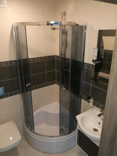 a shower in a bathroom with a toilet and a sink at Całoroczne domy do wynajęcia in Narty