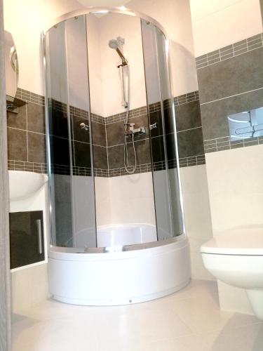 a bathroom with a shower and a toilet at Całoroczne domy do wynajęcia in Narty