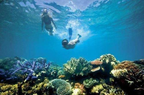 two people swimming in the water over a coral reef at Mangrove Beach Bungalows in Koh Rong Sanloem
