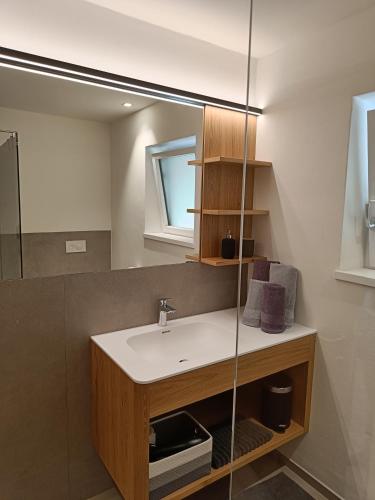 a bathroom with a sink and a mirror at Oberberghof in Appiano sulla Strada del Vino