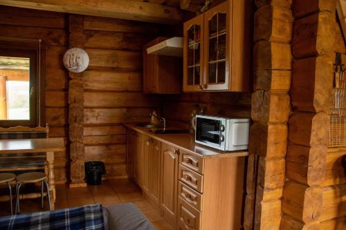 a kitchen in a log cabin with a microwave at Senasis ežeras in Šniūkštai