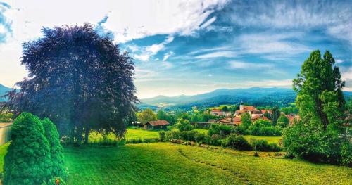 a small village in a green field with a tree at Apartmenthaus Florian in Lam