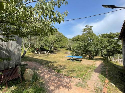 un tavolo da picnic in un campo alberato di Sveri Adventure Camp a Chiatʼura