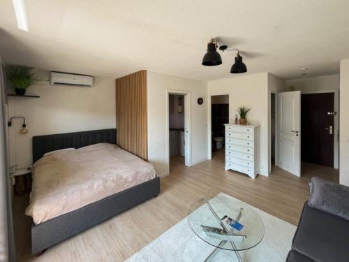 Cozy studio apartment in Cannes - AC-Self check-in