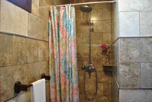 a shower with a colorful shower curtain in a bathroom at Casa Rural Aca y Papá Juan in Güimar