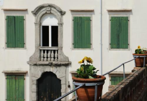 a potted plant sitting on the side of a building at Volpe Pasini - Wine and Rooms in Togliano