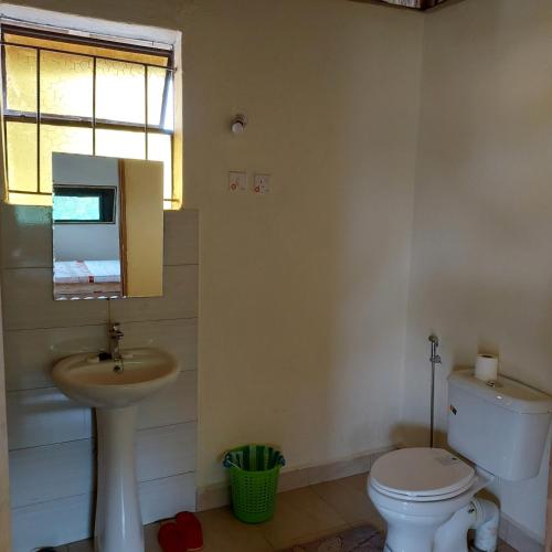 a bathroom with a sink and a toilet and a window at Songbird Safari Lodge & Campsite in Katunguru