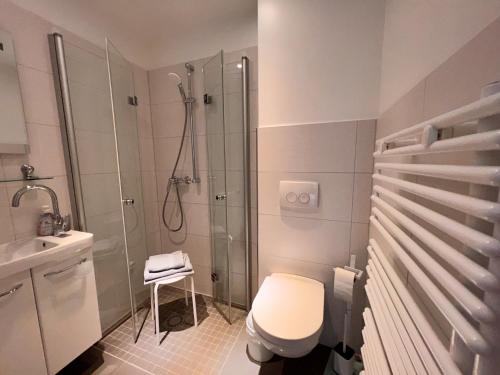 a bathroom with a shower and a toilet and a sink at Pension "Tor zum Rennsteig" in Hörschel