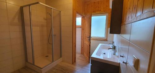 a bathroom with a shower and a sink at Haus an der Pferdekoppel am Blankenburger See in Blankenburg Oberuckersee
