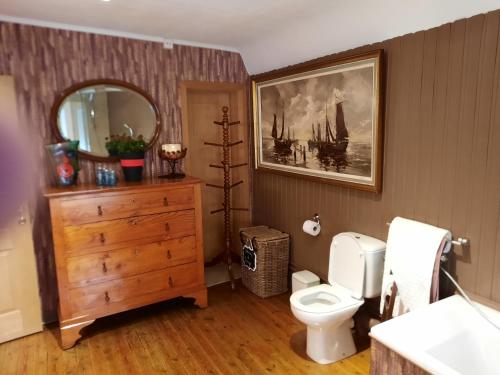 La salle de bains est pourvue de toilettes, d'un lavabo et d'un miroir. dans l'établissement Au trou perdu, à Corroy-le-Château
