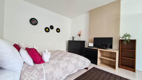 a bedroom with a bed with red pillows and a television at Premium Buda Castle Apartment in Budapest