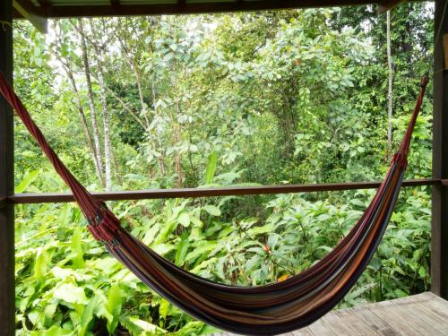 a hammock in front of a window in a forest at Hotel Finca Maresia in Drake