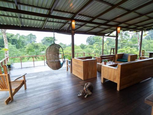 a dog laying on the floor of a porch with a swing at Hotel Finca Maresia in Drake