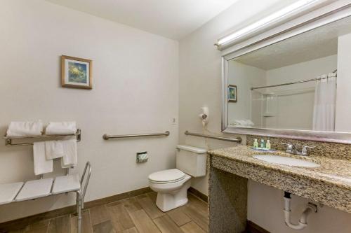 a bathroom with a toilet and a sink and a mirror at Quality Inn Alexis Rd in Toledo