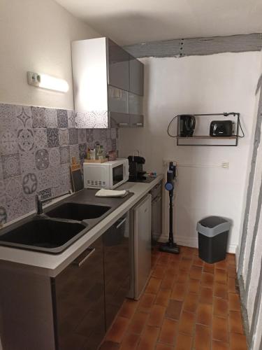 une cuisine avec un évier et un micro-ondes dans l'établissement Le logis du clocher, à Troyes