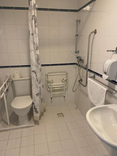 ein Bad mit einem WC und einem Waschbecken in der Unterkunft Hotel Hořec in Pec pod Sněžkou