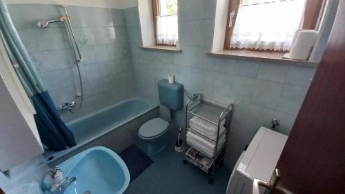 een badkamer met een wastafel, een toilet en een bad bij Apartma Nona Roža in Zgornje Škofije