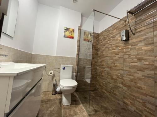 a bathroom with a toilet and a glass shower at Cabana Chalet Transylvania in Orlat