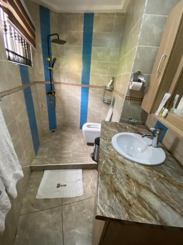 a bathroom with a sink and a toilet at Bays Lodge, Accra in Accra
