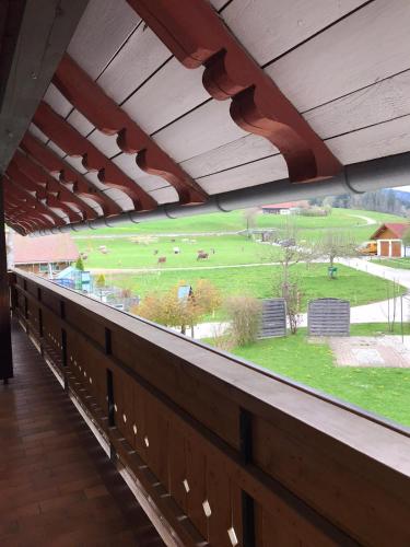 a view of a field from the balcony of a building at Ferienwohnungen Rössle in Stiefenhofen
