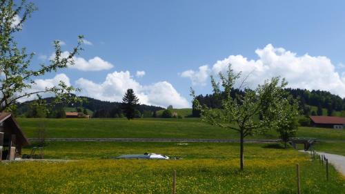 a car laying in the grass in a field at Ferienwohnungen Rössle in Stiefenhofen