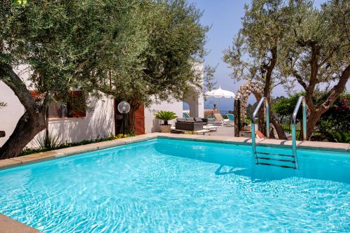 a blue swimming pool with trees in the background at Villa Marianna in Massa Lubrense