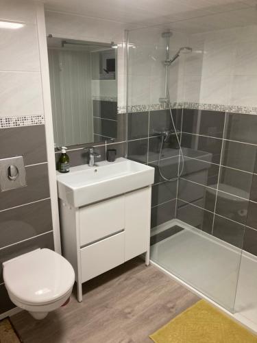 une salle de bain avec toilettes, lavabo et douche dans l'établissement Appartement en rez-de-chaussée de maison, à Montanay