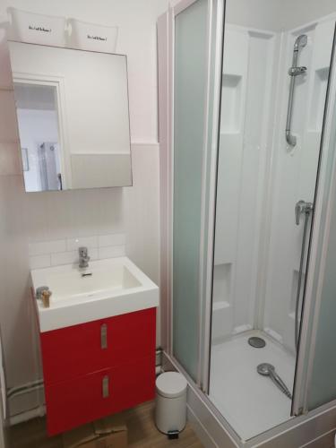 La salle de bains est pourvue d'un lavabo blanc et d'une douche. dans l'établissement Au Nid d'or : Appartement Tout confort Hyper Centre Béthune, à Béthune