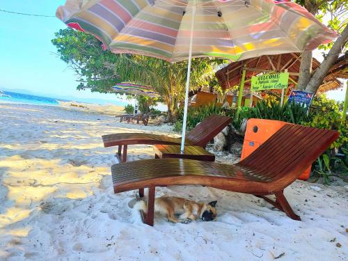 duas cadeiras e um cão deitado debaixo de um guarda-sol na praia em Junior & Nemesia's Cottages em Baclayon