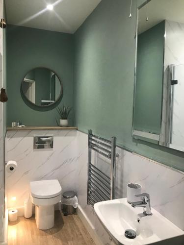 a bathroom with a toilet and a sink and a mirror at Tregiffian Farm B&B in Penzance