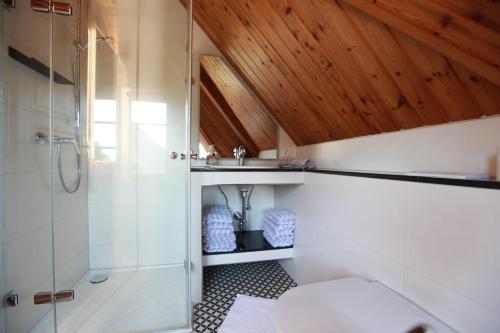 ein Bad mit einer Dusche, einem WC und einem Waschbecken in der Unterkunft Alte Scheune in Ahrenshoop