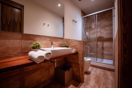 a bathroom with a sink and a shower at Hotel Mas de Xaxas in Camprodon