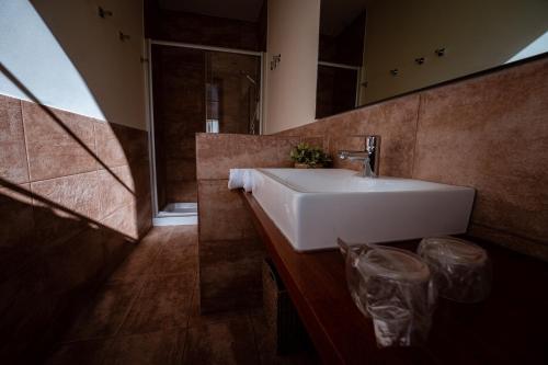 a bathroom with a white sink and a mirror at Hotel Mas de Xaxas in Camprodon